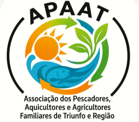 Capa do arquivo REGULAMENTO DE COMPRAS E CONTRATAÇÃO DE SERVIÇOS